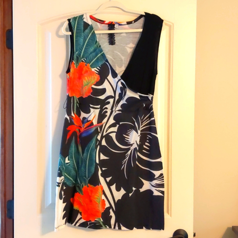 Smash! Desigual Style Dress